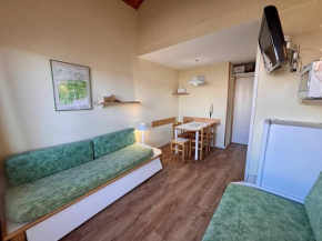 Appt cosy 5 pers à La Plagne, proche pistes, animaux admis - FR-1-353-57